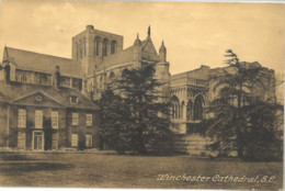 Cpa Post Card WINCHESTER Cathedral, S.E. - Winchester