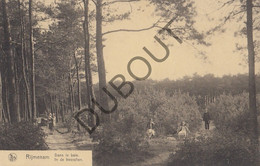 Postkaart/Carte Postale RIJMENAM - Dans Le Bois (C1151) - Bonheiden