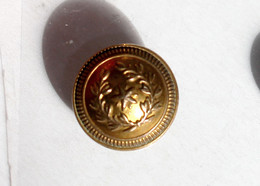 BOUTON / BUTTON UNIFORME MILITAIRE ARMÉE - LAURIER ETOILE  SUPERIEUR France 18mm    (2202.08'') - Bottoni