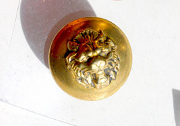 TRES RARE BOUTON / BUTTON UNIFORME ANCIEN - TETE DE LION - BOMBÉ DORÉ - D:22mm         (2202.12'') - Bottoni