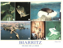 (TT 30) France - Boatrritz Aquarium (with Tortoise, Seal And Shark) Tortue Etc - Schildkröten
