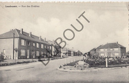 Postkaart/Carte Postale LAMBUSART - Rue Des Erables (C1140) - Fleurus