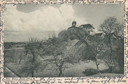 Suisse - Châteaux - Gruningen - Le Château  - Circulée 15/06/1931 - Au