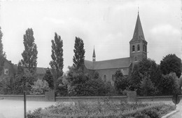 Kerk Van Geistingen  @  Geistingen - Kinrooi