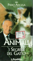 Viaggio Al Centro Degli Animali - I Segreti Del Gatto- 1998 - Deagostini -F - Sammlungen