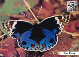 BUTTERFLY- BLUE PANSY -  PPC WITH QR CODE-WILDLIFE DIVERSITY-BONDLA SANCTUARY-GOA CIRCLE-INDIA-MNH-MNC-211 - Papillons