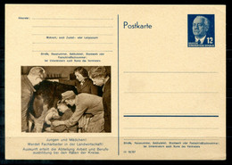 F1269 - DDR - Ganzsache P 56/03, Ungebraucht - Landwirtschaft - Cartes Postales - Neuves