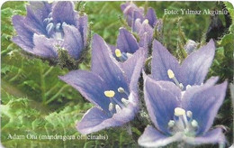 North Cyprus - K.K.T.C. (Chip) - Flowers 1/5, Adam Otu (Mandragora Officinalis), Gem5 Red, 11.1997, 1.000ex, Mint - Cyprus