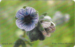North Cyprus - K.K.T.C. (Chip) - Flowers 4/5, Köpek Dili (Cynoglossum Creticum), Gem5 Red, 11.1997, 1.000ex, Mint - Cyprus