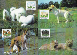 Finland 1998 4 Postal Stationery Used As Maximum Card Fauna Domestic Animal Mammal Dog Pet - Cani