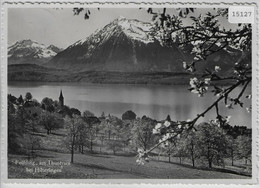 Frühling Am Thunersee Bei Hilterfingen - Hilterfingen