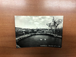 CASTELDELPIANO ( GROSSETO ) PANORAMA 1954 - Grosseto