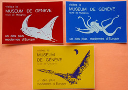 LOT DE 3 AUTOCOLLANT STICKER - MUSEUM DE GENEVE - Stickers