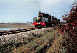 Train Chemin De Fer Baie De Somme Noyelles Saint Valery - Noyelles-sur-Mer