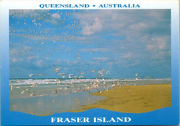 (5 A 16) Australia - World Heritage - QLD- Fraser Island (name Change In 2021) - Sunshine Coast