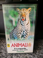 Animali - Il Leopardo Principe Della Notte  - DeAgostini - 1994 - F - Collections