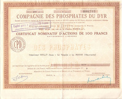 Compagnie Des Phosphates Du Dyr Près De Tebessa (Algérie), Certificat De 8 Actions De 100 Francs, 1945 - Mines