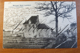 St Lambrechts Woluwe  Kasteel Hinnisdael. Neks Serie 11, N°240 - Woluwe-St-Lambert - St-Lambrechts-Woluwe