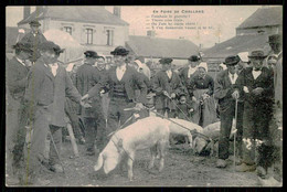 FRANCE - CHALLANS -  En Foire De Challans. ( Ed. Mme Milueau Nº 368) Carte Postale - Fairs