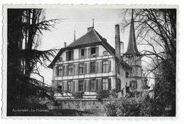 AUVERNIER Le Château (Suisse) Ed. Perrochet 2645, Cpsm Pf - Auvernier