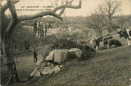 Pont Aven * Vue Générale Prise De La Montagne De St Guénolé * Panorama - Pont Aven