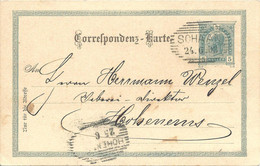 Liechtenstein Entier Postal Ganzsache Carte Postale Postkart Autriche 5H. Oblitération Schaan 1903 - Postwaardestukken
