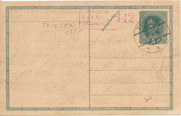 Liechtenstein Entier Postal Ganzsache Carte Postale Postkart Autriche 8H. Oblitération Triesen 1917 - Postwaardestukken