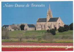 29, Saint Jean Trolimon, La Chapelle N.D. De Tronoën - Saint-Jean-Trolimon