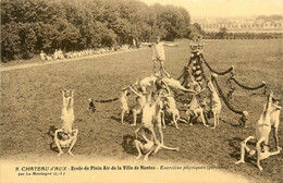 La Montagne * Château D'aux * école De Plein Air De La Ville De Nantes * Exercices Physiques Des Garçons * Sport Gym - La Montagne