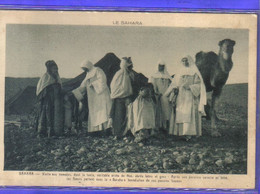 Carte Postale Algérie  Ouargla  Visite Aux Nomades La Baraka  Très Beau Plan - Ouargla