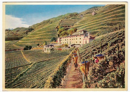 WEINGUT "LA GATTA" (VELTLIN) - CAMPASCIO - BRUSIO - GRISONS - 1961 - Vedi Retro - Brusio