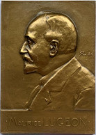 Médaille Bronze. Marcel Lugeon.  Au Grand Gélologue Alpin. Ses Amis, Ses élèves, Son Pays. - Professionals / Firms