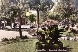 Cartolina - Senigallia - Giardini Catalani - 1956 - Ancona