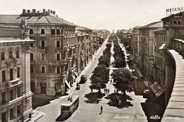 Cartolina - Ancona - Viale Della Vittoria - 1956 - Ancona