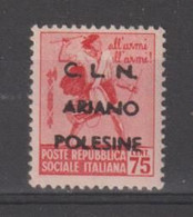 R.S.I. - C.L.N.:  1945  ARIANO  POLESINE  -  75 C. CARMINIO  N. -  SOPRASTAMPA  NERA  -  ERRANI  351 - Centraal Comité Van Het Nationaal Verzet (CLN)