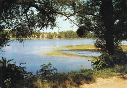 LE CHESNE - Point De Vue Sur Le Lac De Bairon - Le Chesne