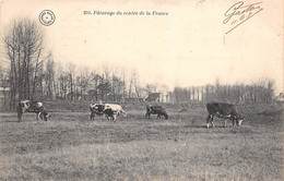 Les Bords Du Cher       37      Pâturage Du Centre De La France - Vaches -  Grand Bazar  N° 359  (voir Scan) - Sonstige & Ohne Zuordnung