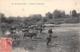 Les Bords Du Cher     37     Pâturage Du Centre De La France - Vaches .  L'abreuvoir -  Grand Bazar  N° 612 (voir Scan) - Sonstige & Ohne Zuordnung