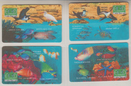 ISRAEL FISH FRIGATEBIRD EGRET TERN TURTLE CORAL SEA STAR PUZZLE - Poissons