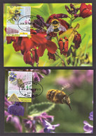 15.- ISRAEL 2020 THREE MAXIMUM CARDS BEES HONEYBEES - Honingbijen