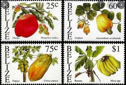 Belize 2000, Fruits, MNH Stamps Set - Belize (1973-...)