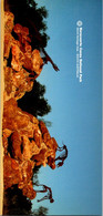 (5 A 19) Australia - SA - Naracoorte Caves (1 Postcard) - Andere & Zonder Classificatie