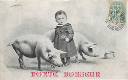 ANIMAUX COCHON FANTAISIE - Porte  Bonheur - Cochons