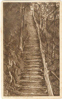 Jacob's Ladder 1923 (Pub.-F.P.Lightfoot,The Hotel, Devils Bridge, Aberystwyth) - Cardiganshire