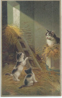 Chats - Katten - Cats - Katzen - Reliëf No 226 - 1910 - Katten