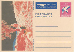 Liechtenstein Entier Postal Ganzsache Carte Postale Postkarte 4 CP83 100Rp. Neuves Ruggeller - Postwaardestukken