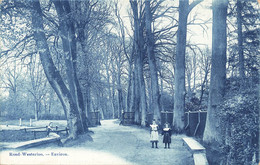 Rond-WESTERLOO - Environ - Carte Bleutée Circulée En 1900 - Westerlo
