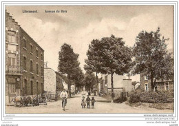 LIBRAMONT ..--  Avenue Du Bois . Machines Agricoles . 1910 Vers FARCIENNES ( Mr René JAUMIN ) . Voir Verso . - Libramont-Chevigny