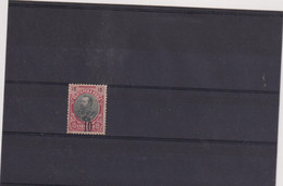 BULGARIE- TP N° 66-NSG-TB  1903 - Unused Stamps