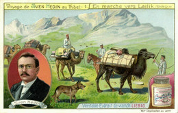 Tibet Thibet, Explorer Sven Hedin, Camel Caravan Laïlik (1908) Liebig Trade Card - Tibet